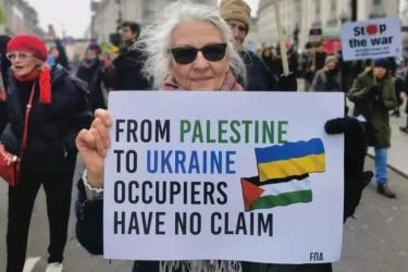 ukraine and palestine